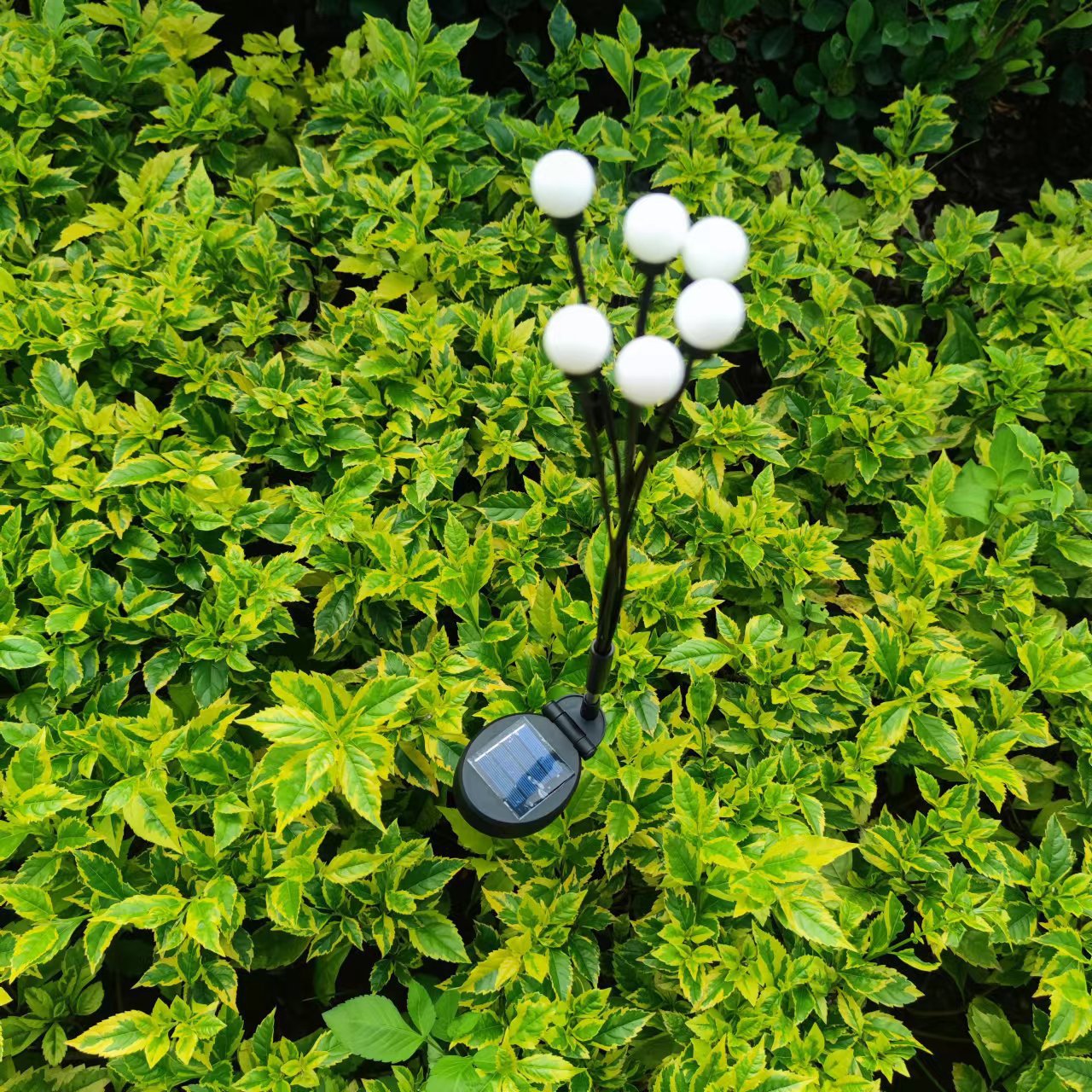 Firefly solar lawn light